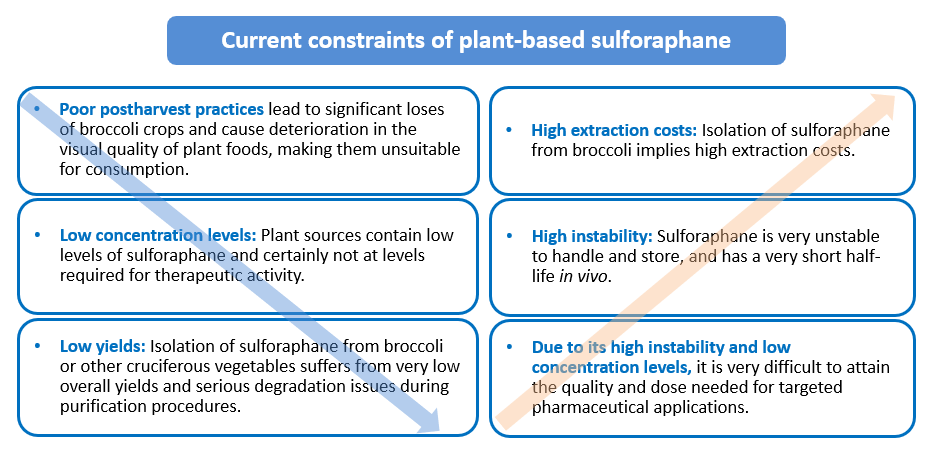 Current constraints of plant-based sulforaphane